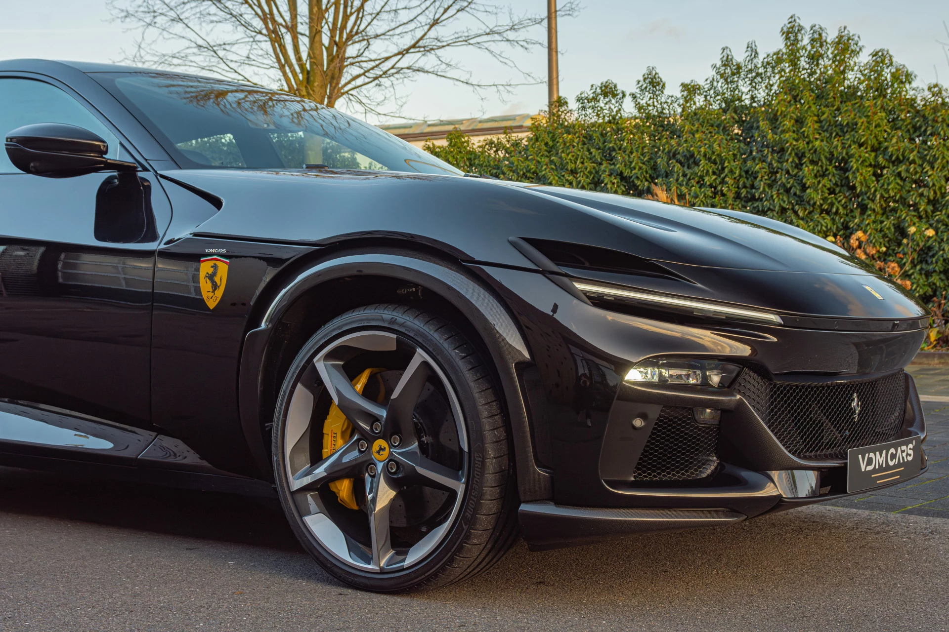 Hoofdafbeelding Ferrari Purosangue