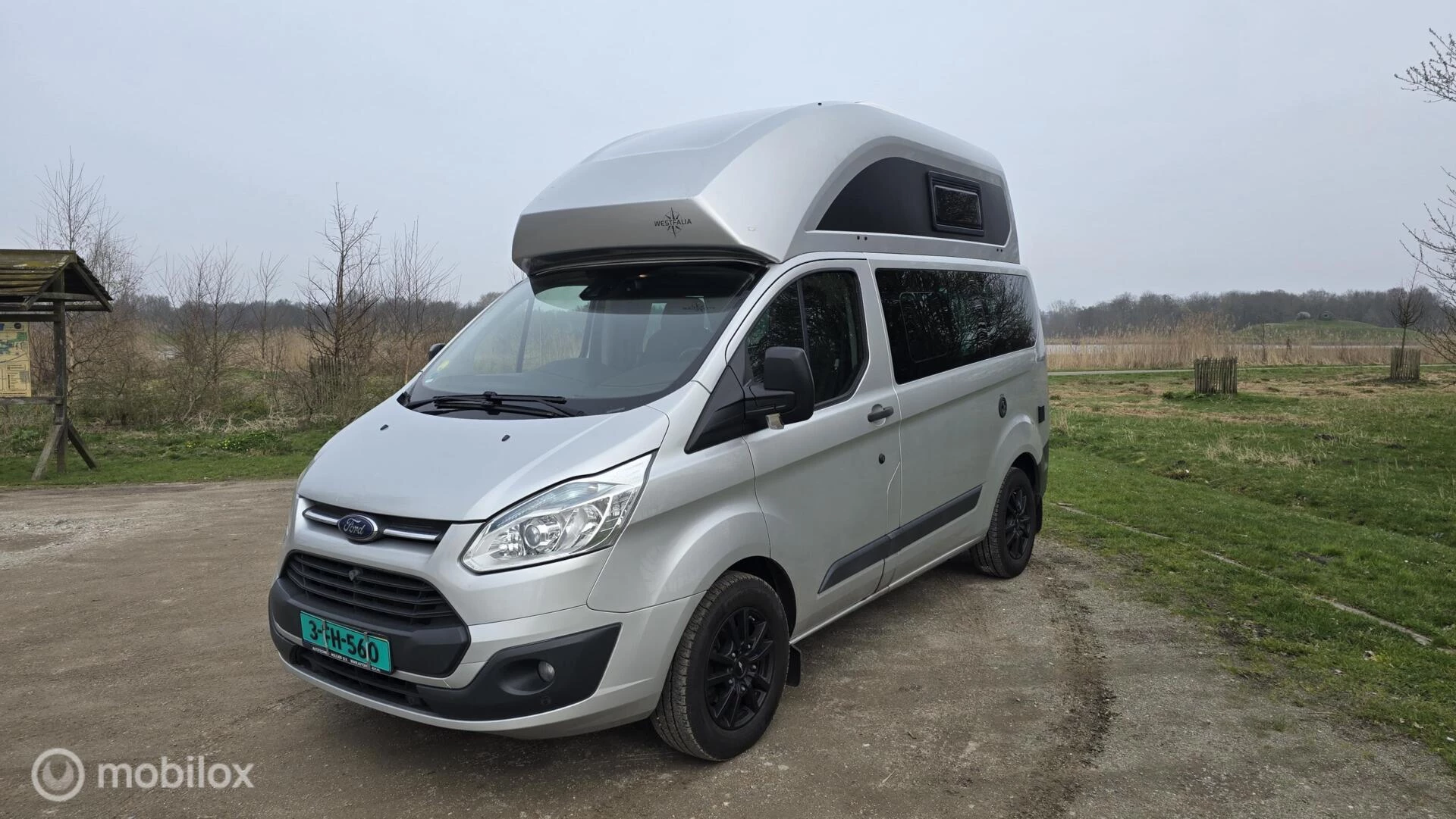 Hoofdafbeelding Ford Nugget