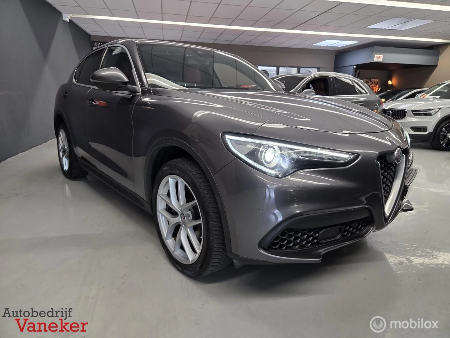 Hoofdafbeelding Alfa Romeo Stelvio