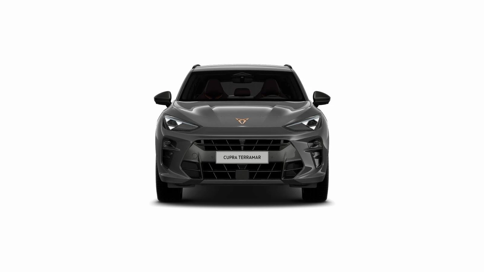 Hoofdafbeelding CUPRA Terramar