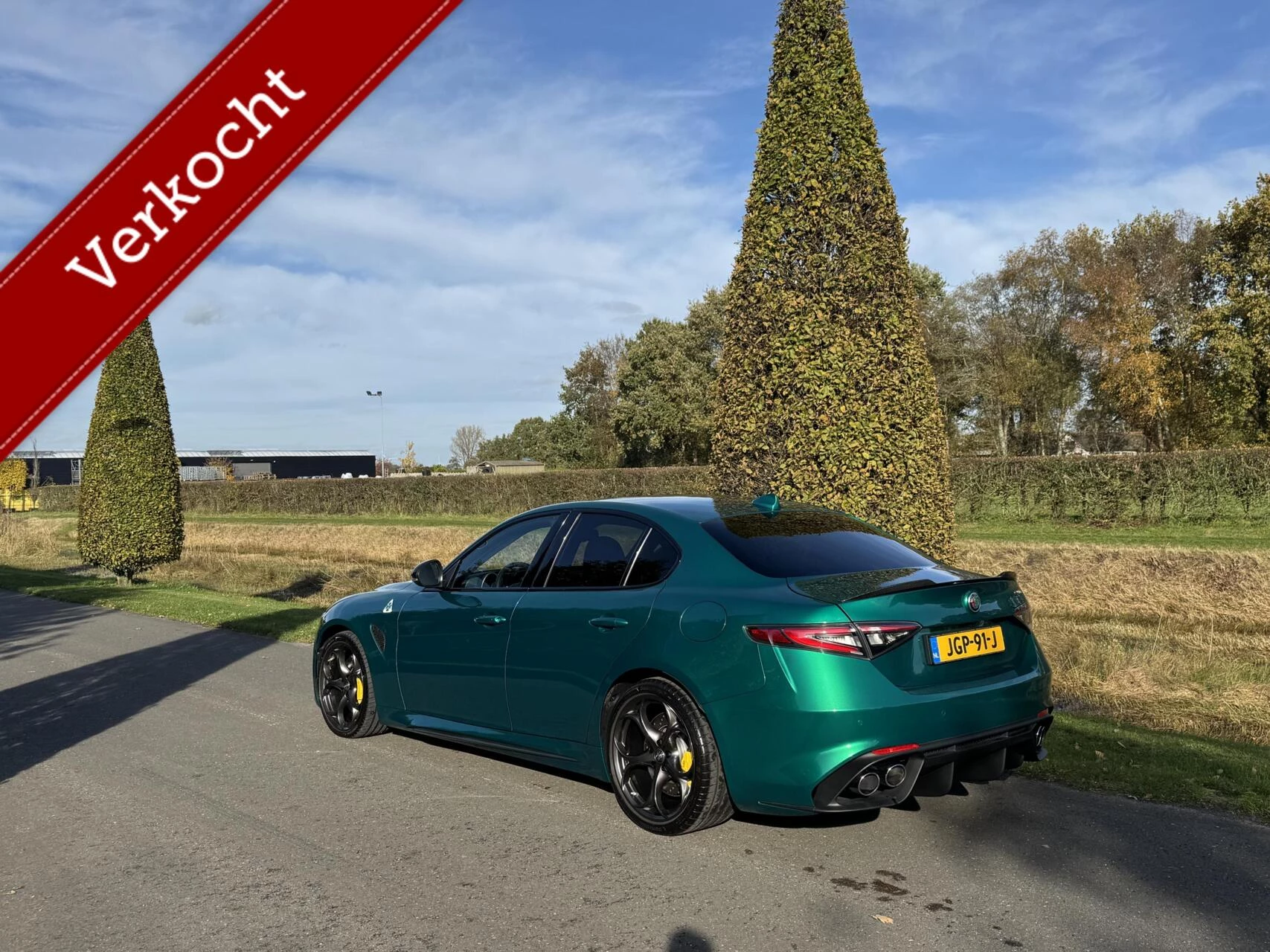 Hoofdafbeelding Alfa Romeo Giulia