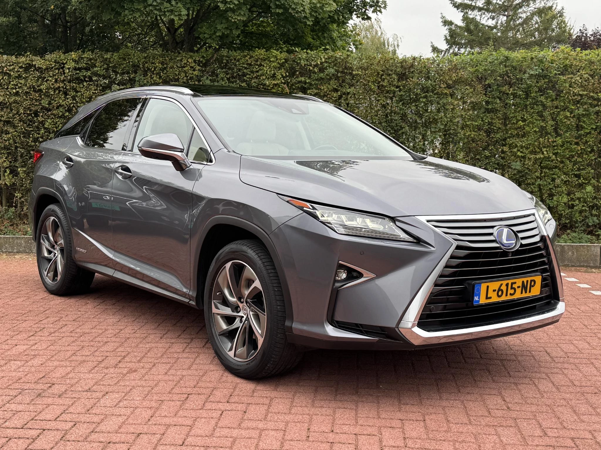 Hoofdafbeelding Lexus RX