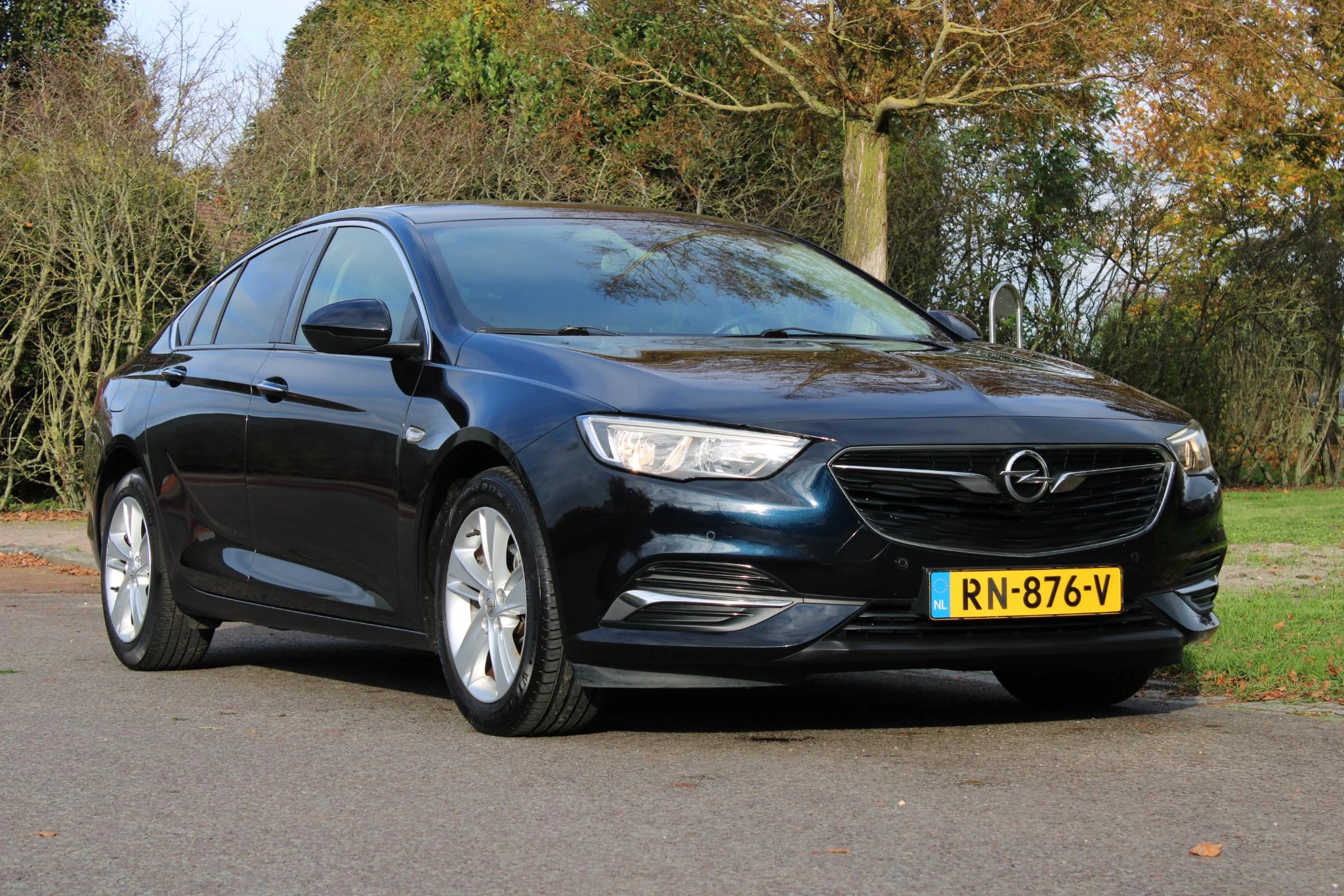 Hoofdafbeelding Opel Insignia