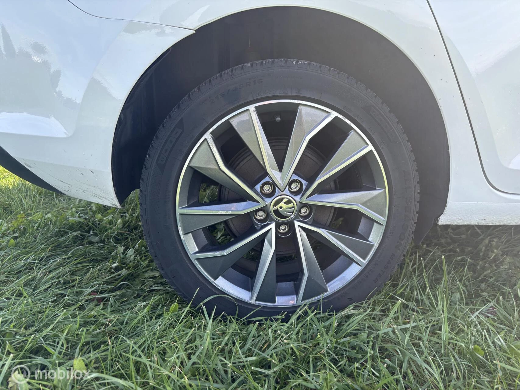 Hoofdafbeelding Škoda Rapid