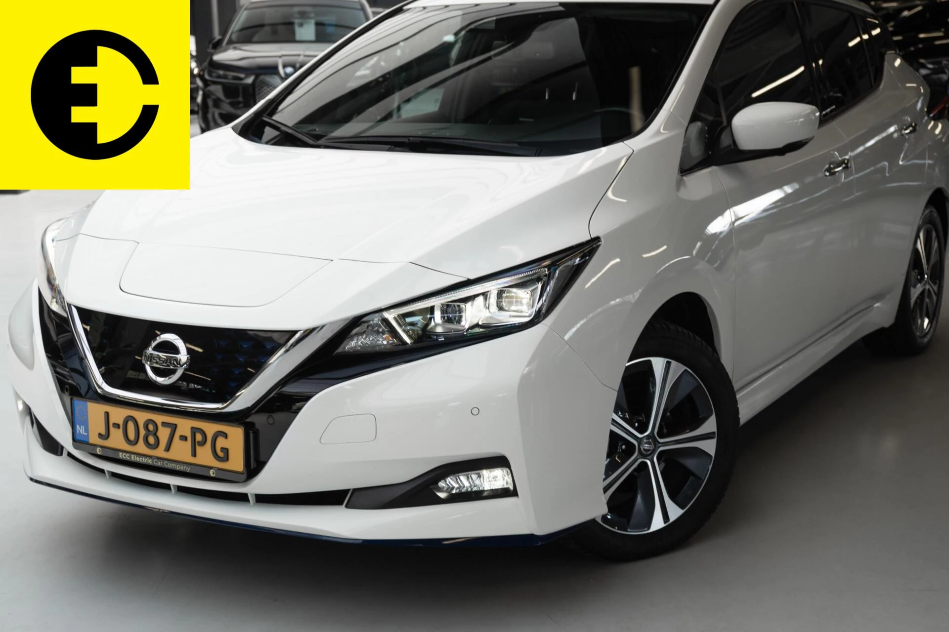 Hoofdafbeelding Nissan Leaf