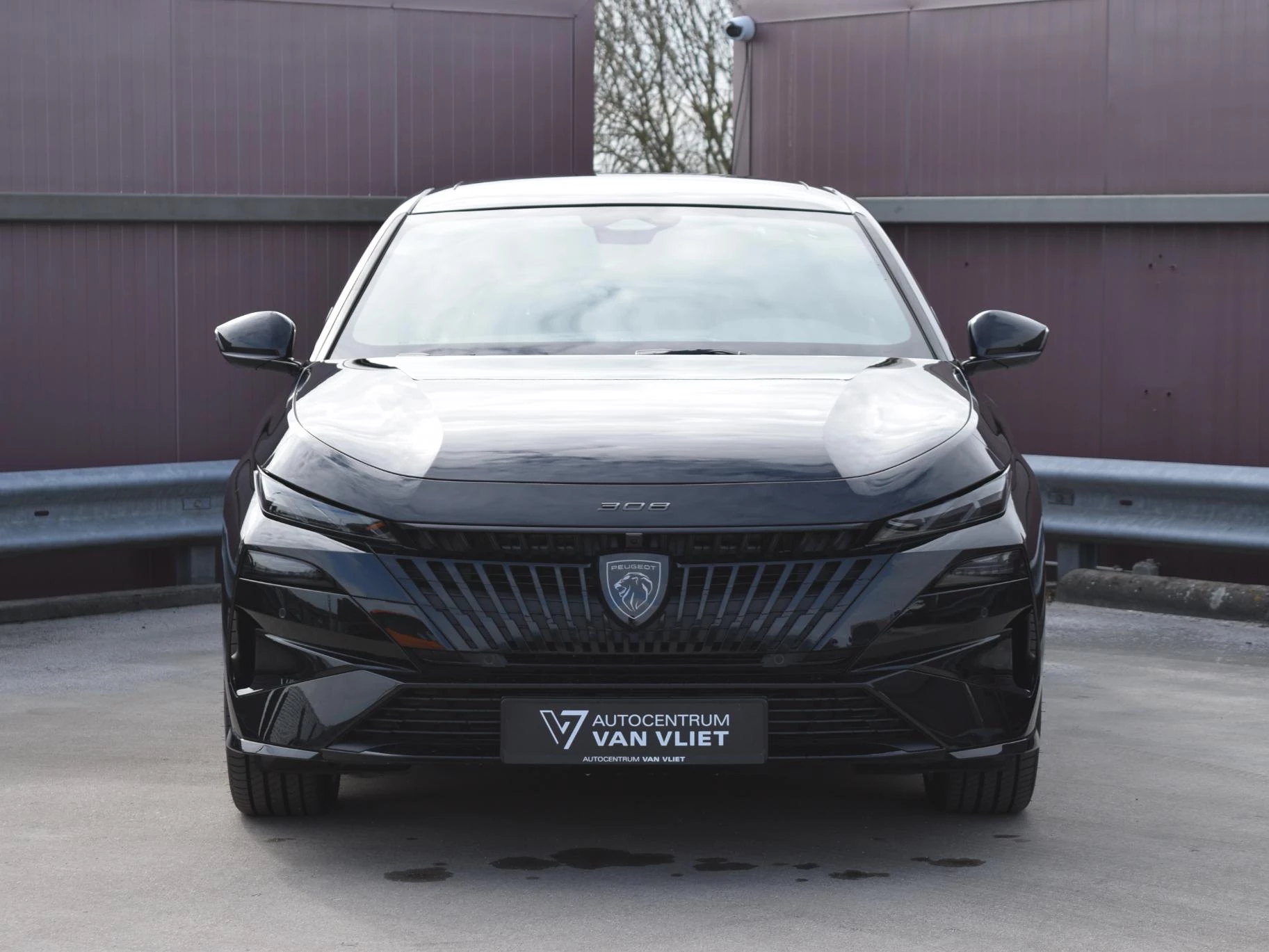 Hoofdafbeelding Peugeot e-308