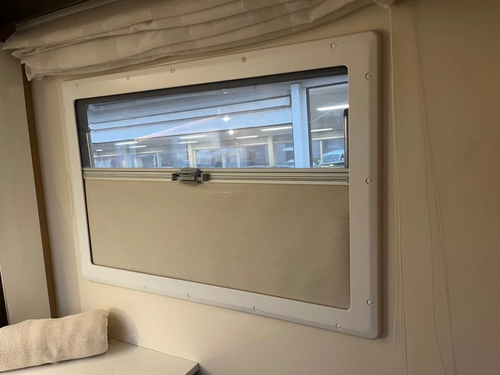 Hoofdafbeelding McLouis YEARLING