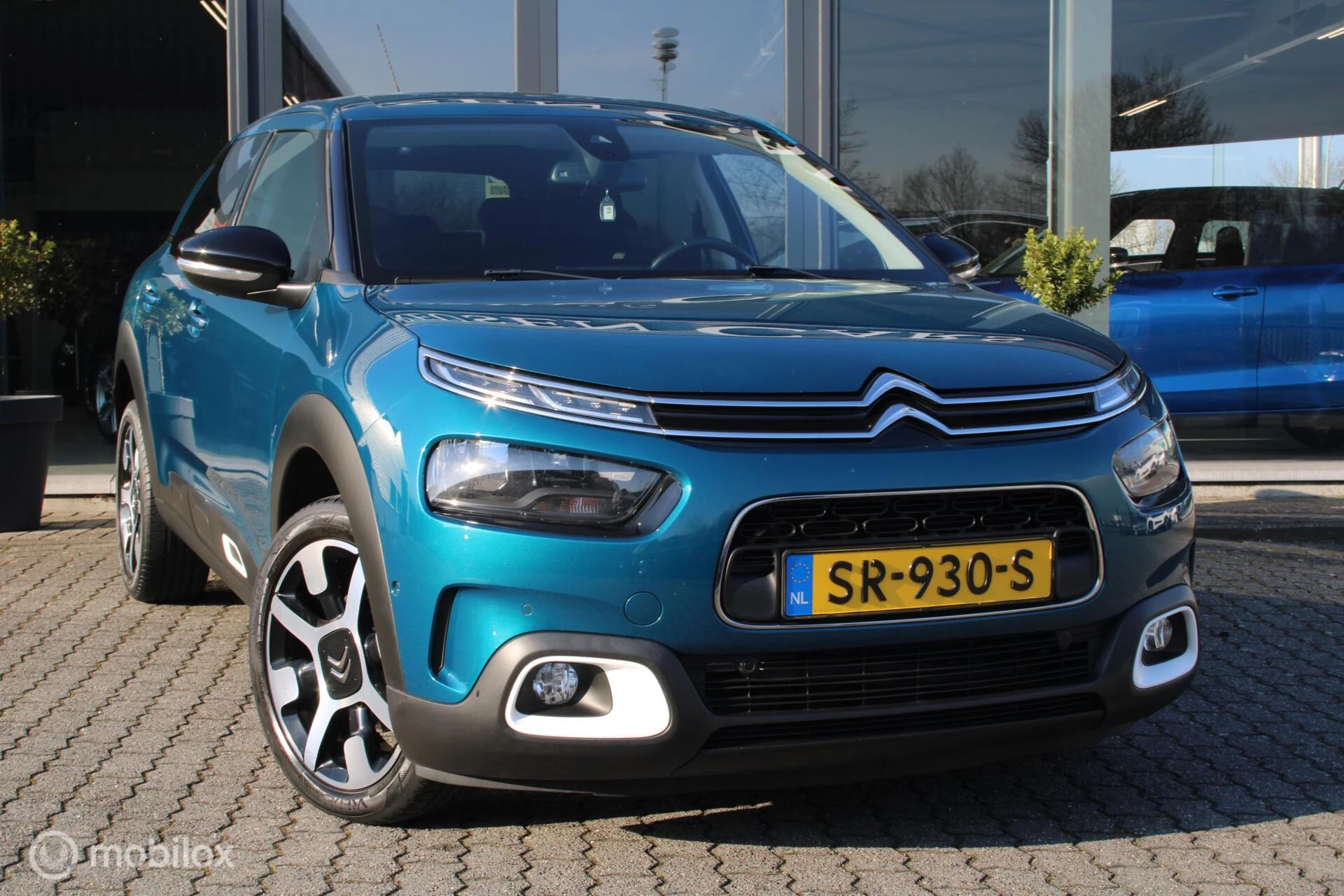 Hoofdafbeelding Citroën C4 Cactus