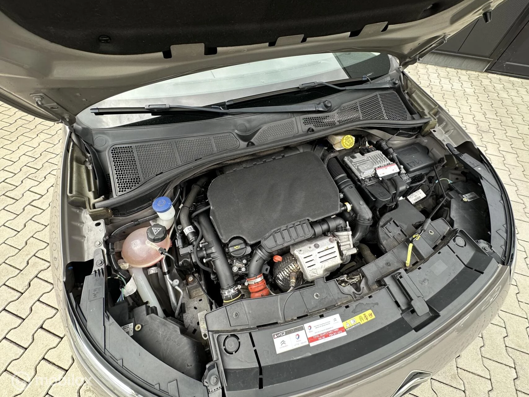 Hoofdafbeelding Citroën C4 Cactus