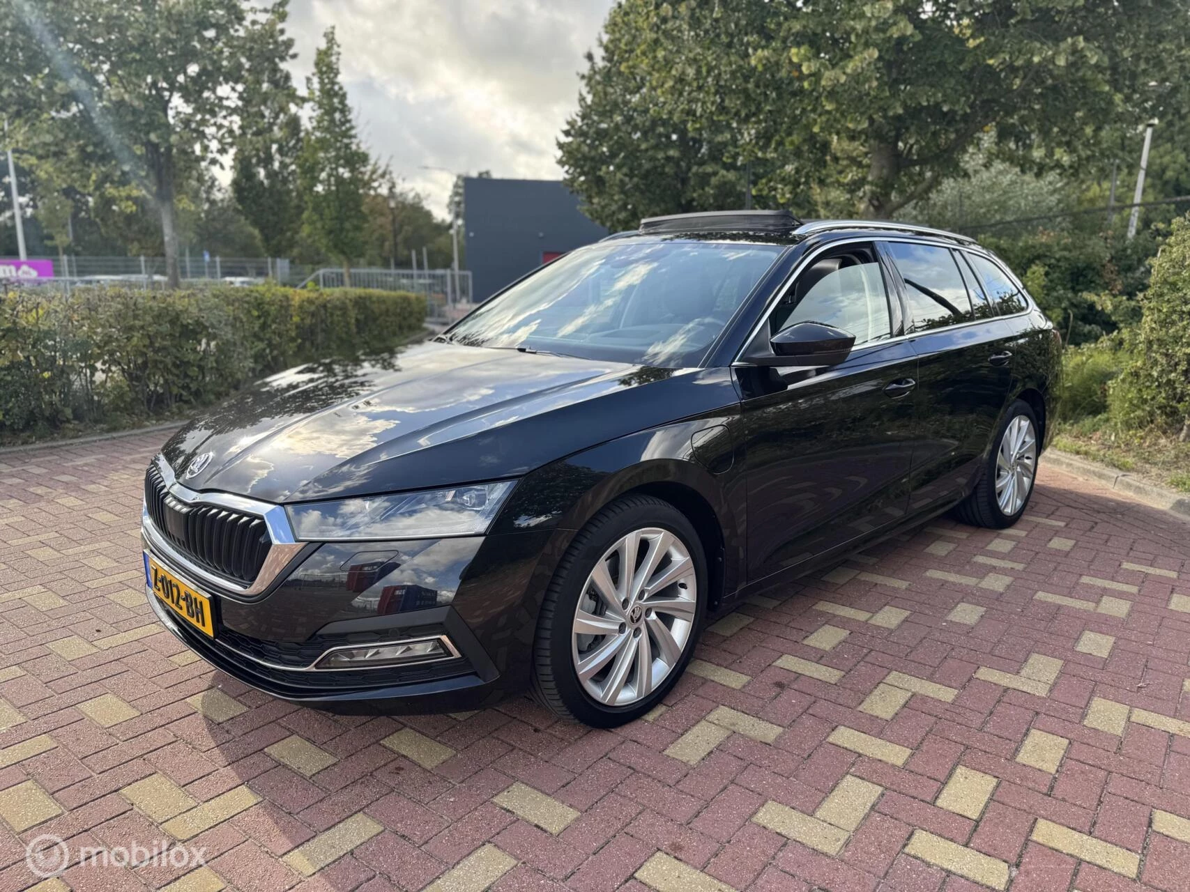 Hoofdafbeelding Škoda Octavia