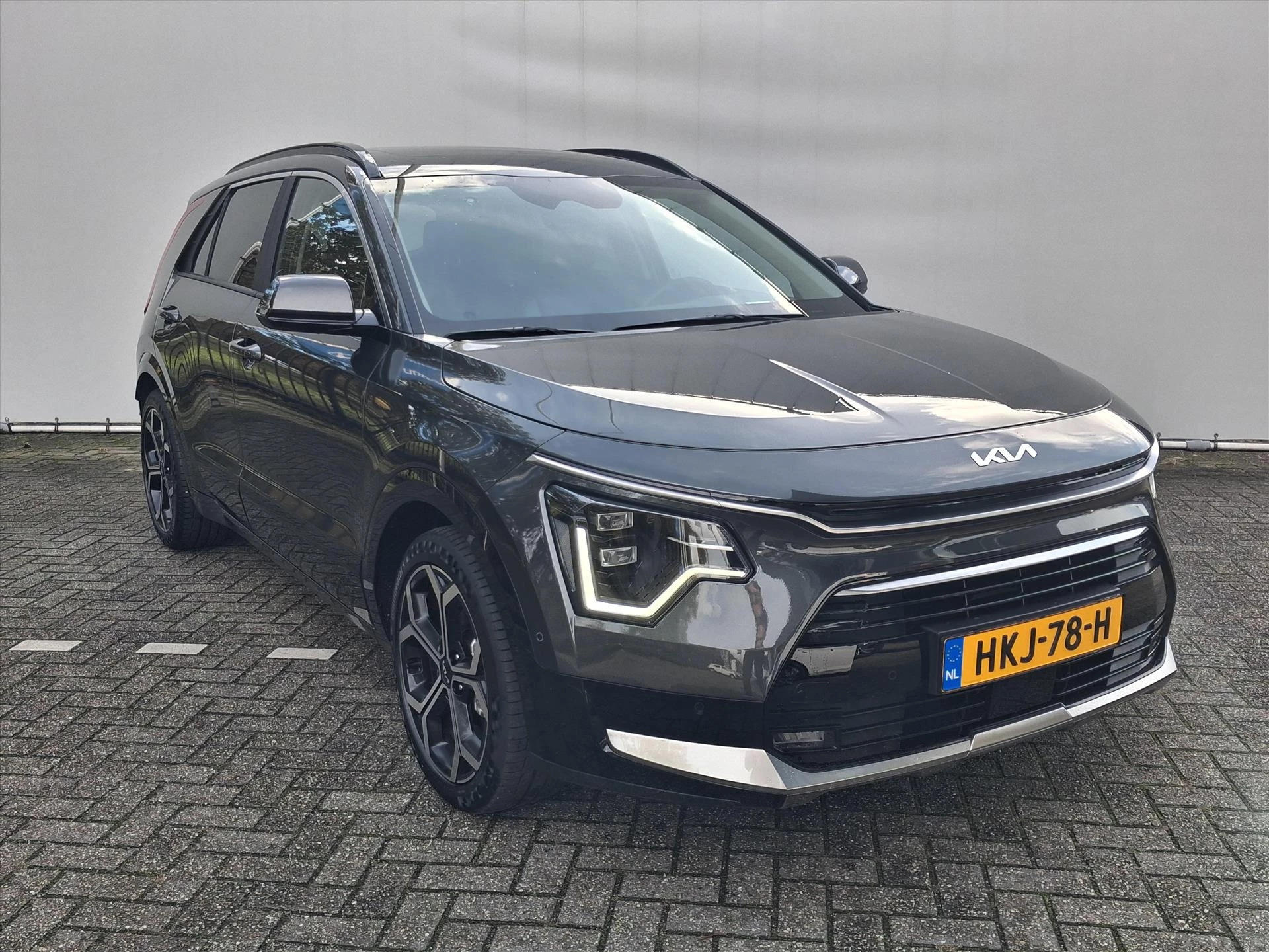 Hoofdafbeelding Kia Niro