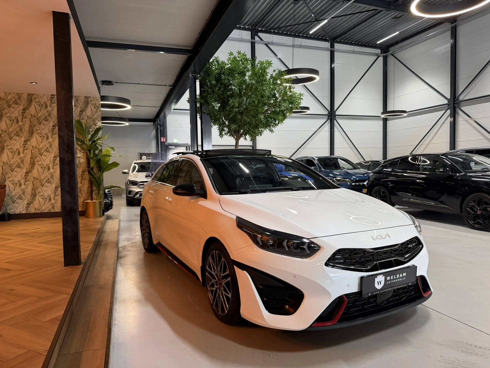 Hoofdafbeelding Kia ProCeed