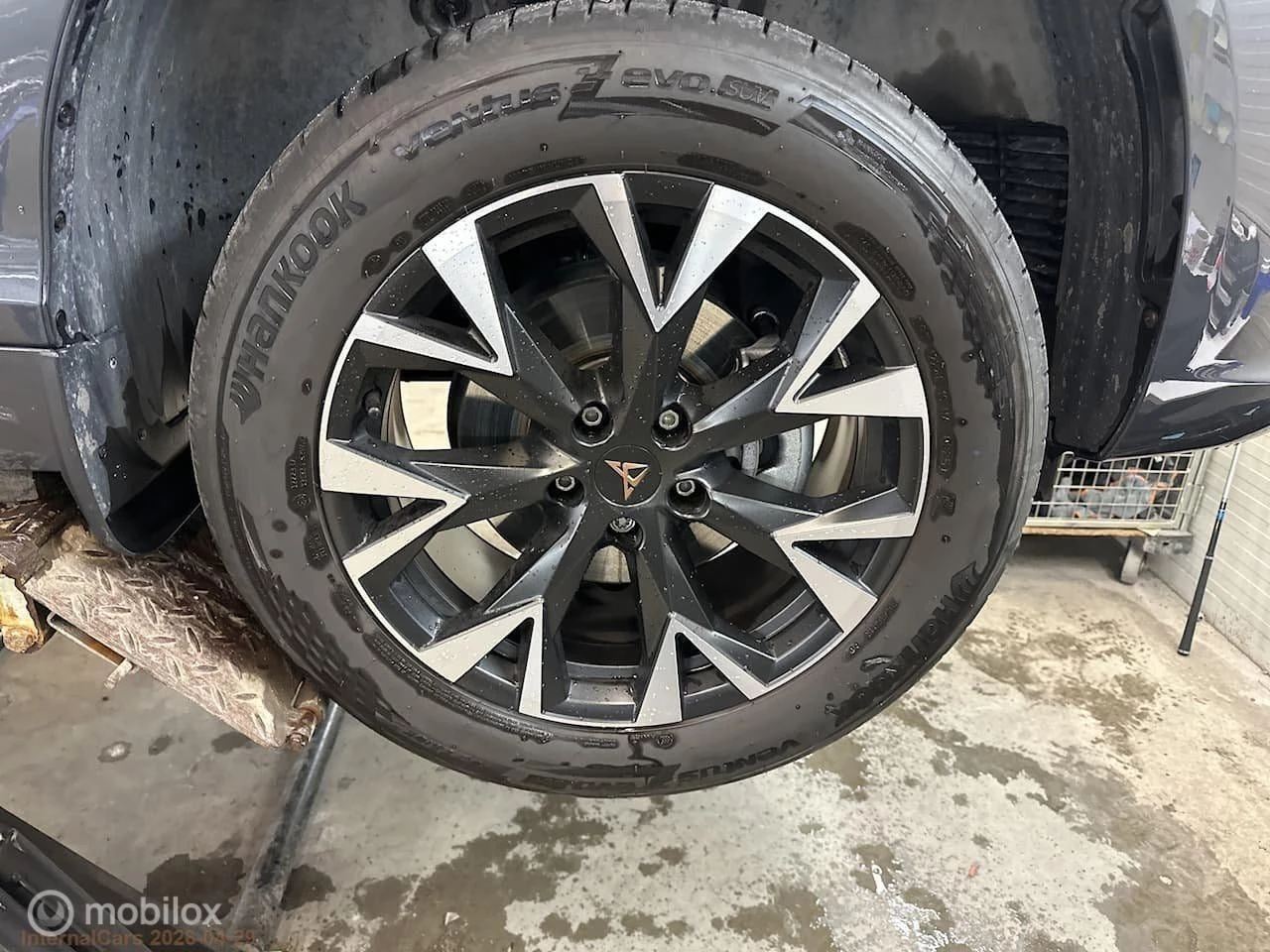 Hoofdafbeelding CUPRA Terramar
