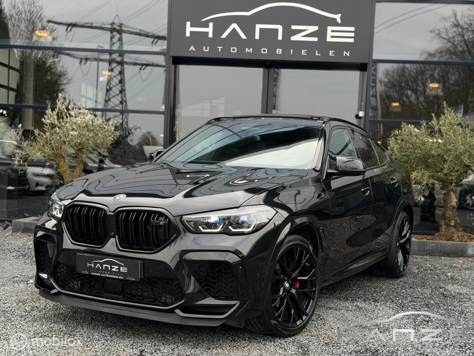 Hoofdafbeelding BMW X6