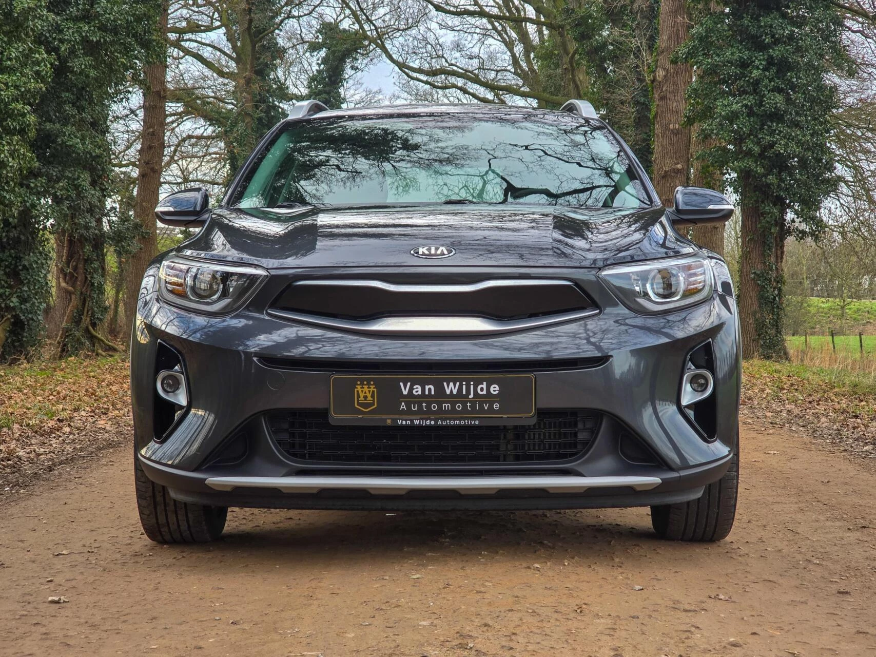 Hoofdafbeelding Kia Stonic