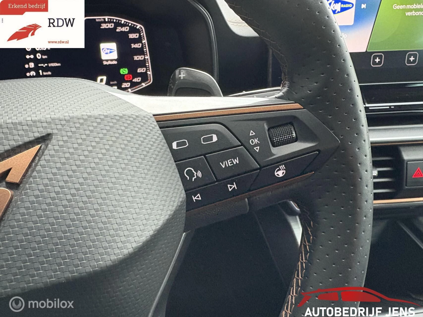 Hoofdafbeelding CUPRA Formentor