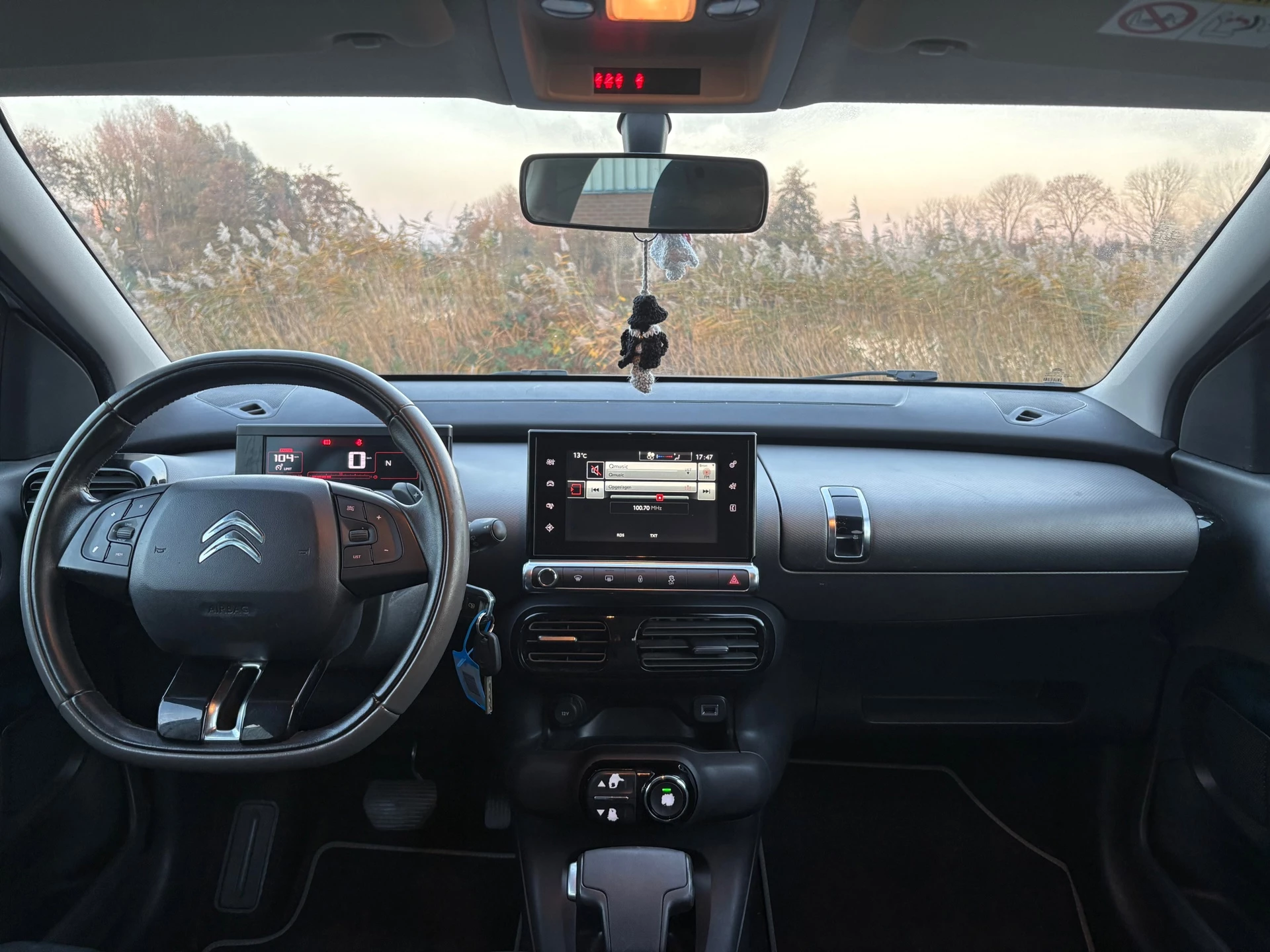 Hoofdafbeelding Citroën C4 Cactus