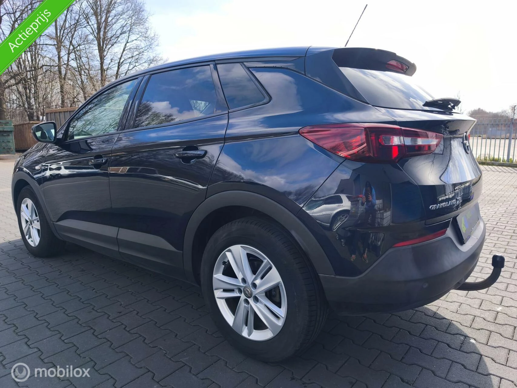 Hoofdafbeelding Opel Grandland X