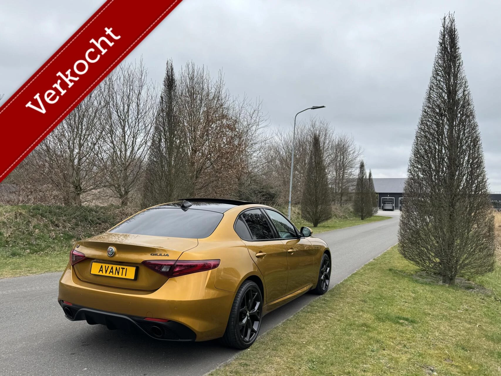 Hoofdafbeelding Alfa Romeo Giulia