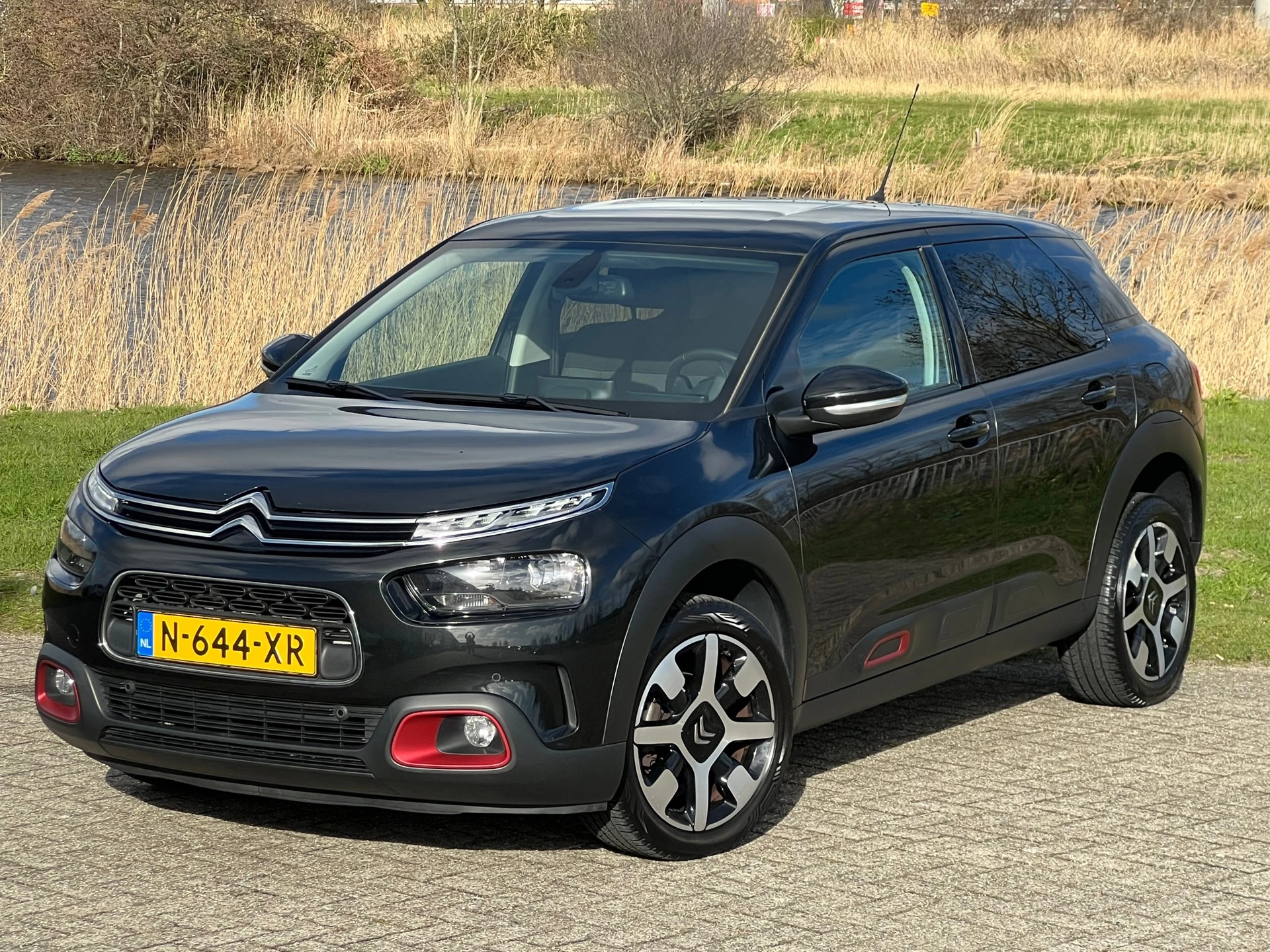 Hoofdafbeelding Citroën C4 Cactus