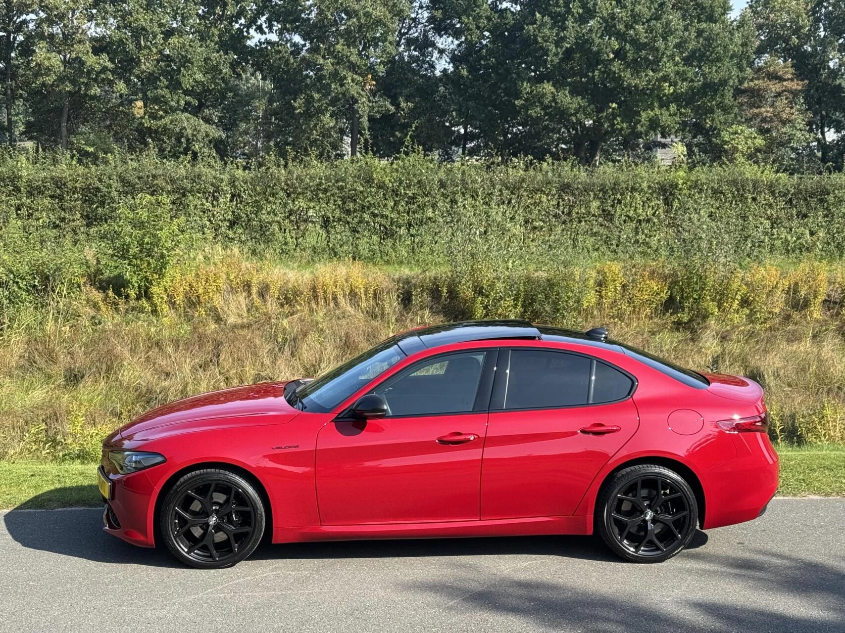 Hoofdafbeelding Alfa Romeo Giulia