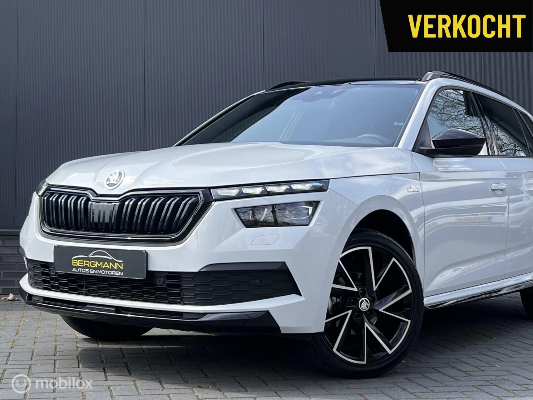 Hoofdafbeelding Škoda Kamiq