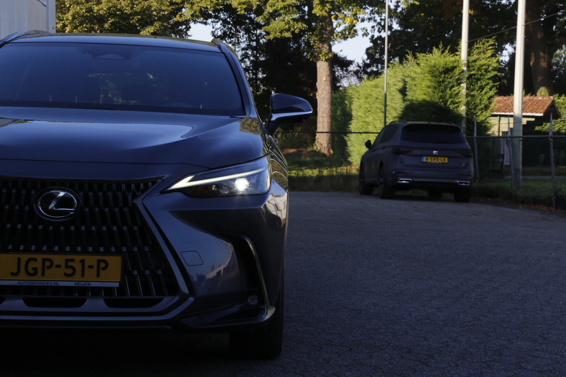 Hoofdafbeelding Lexus NX