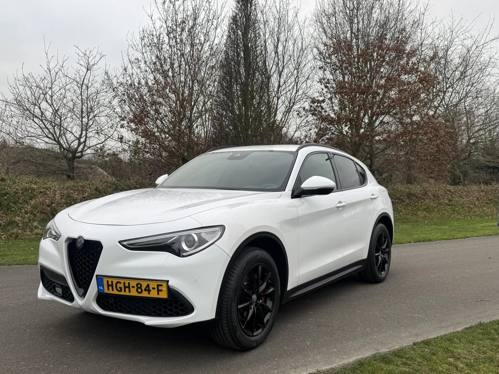 Hoofdafbeelding Alfa Romeo Stelvio