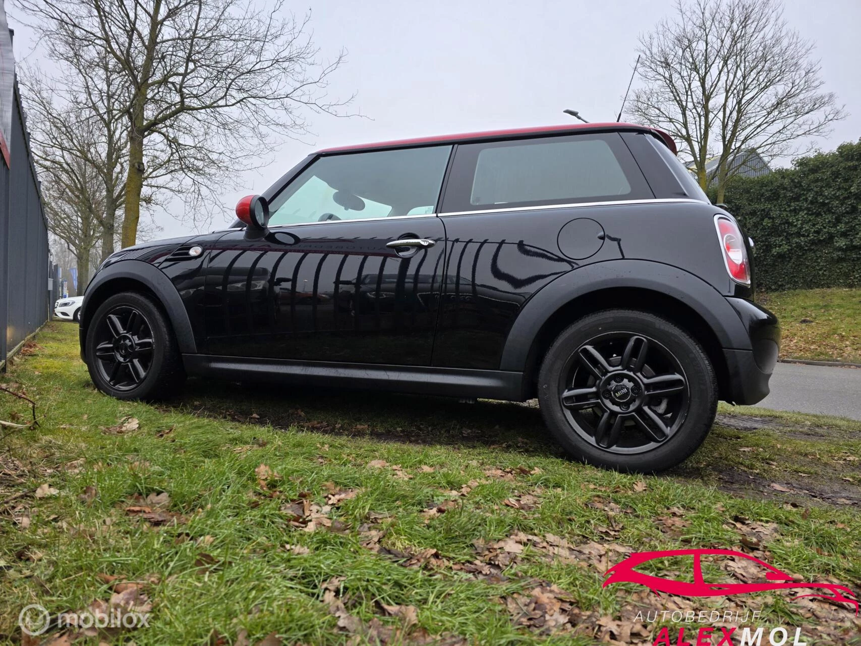 Hoofdafbeelding MINI Cooper
