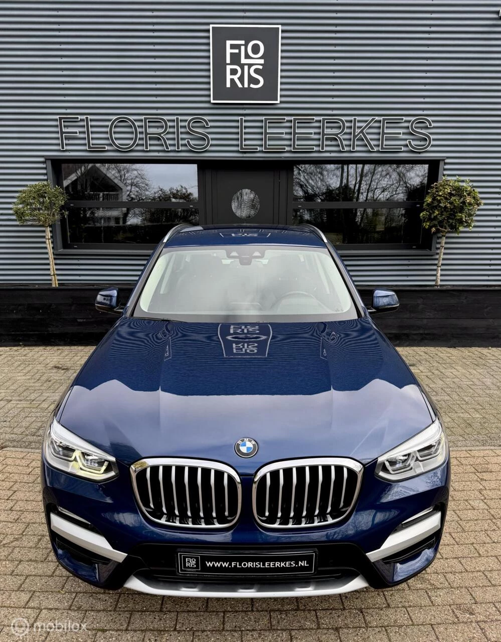 Hoofdafbeelding BMW X3