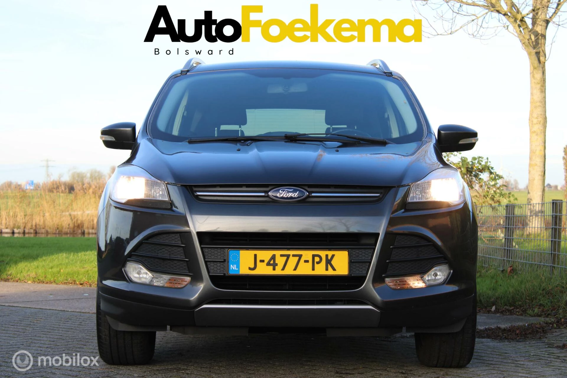 Hoofdafbeelding Ford Kuga