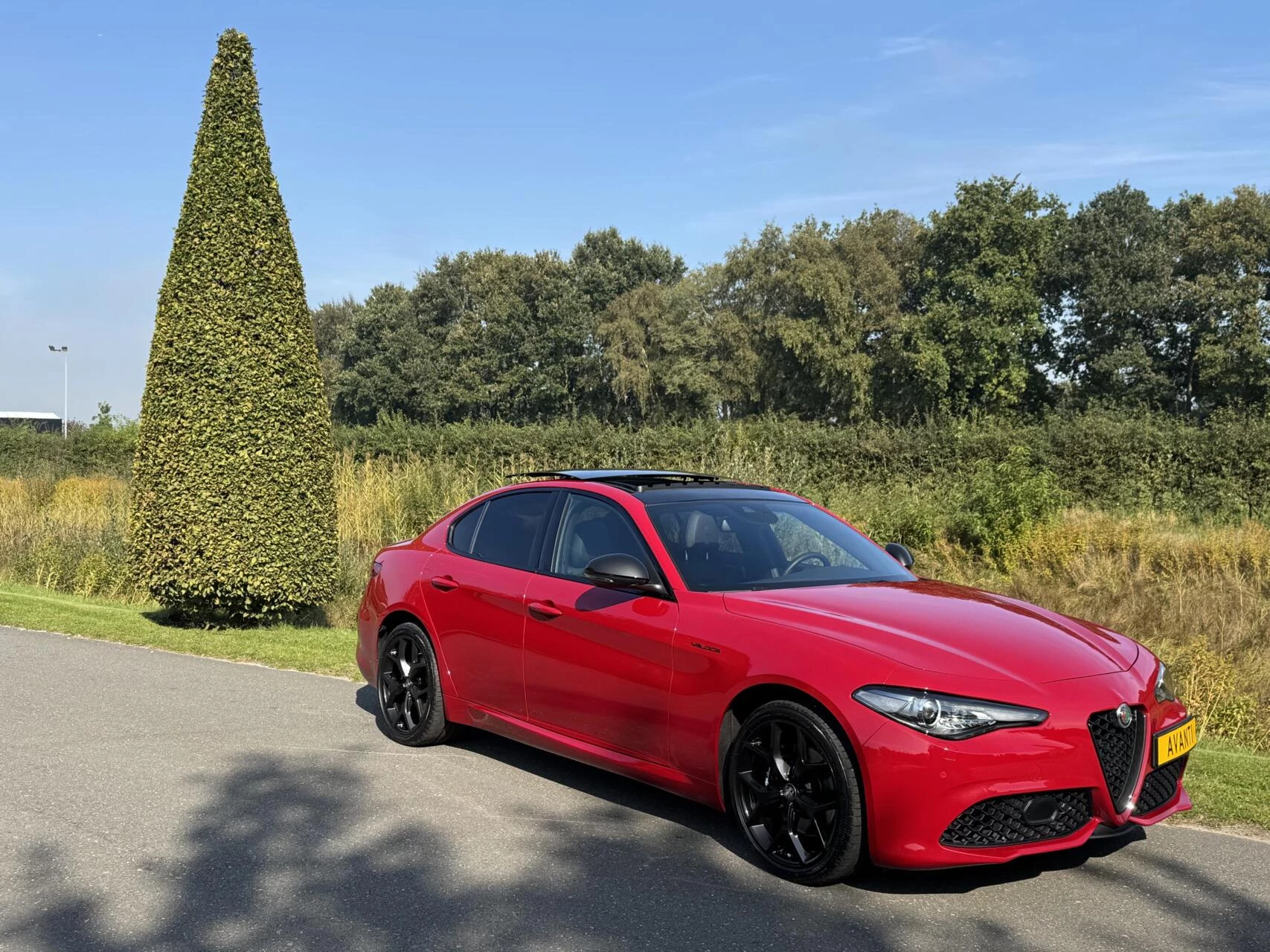 Hoofdafbeelding Alfa Romeo Giulia