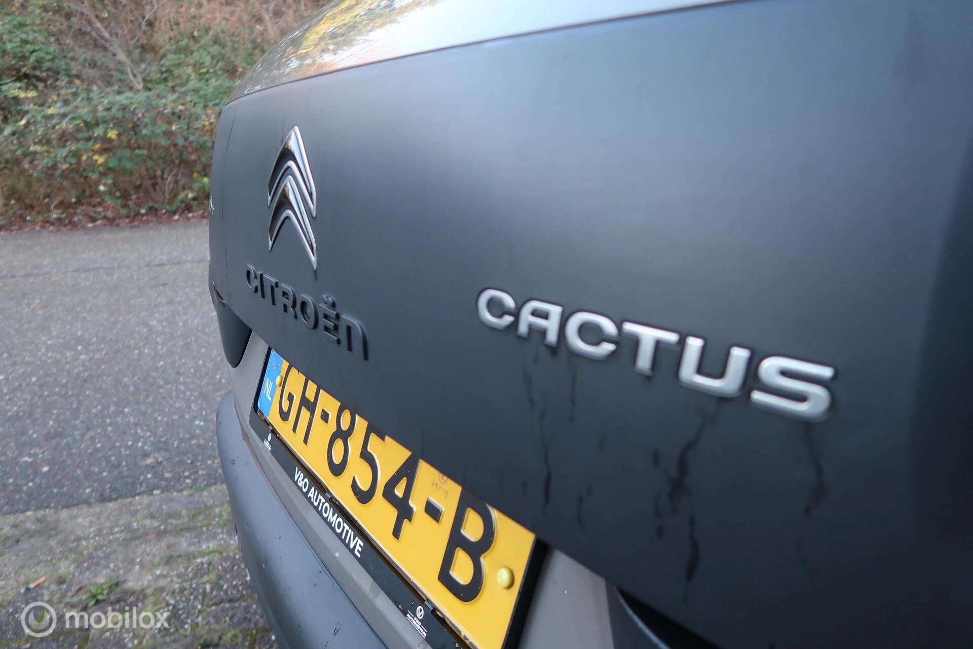 Hoofdafbeelding Citroën C4 Cactus