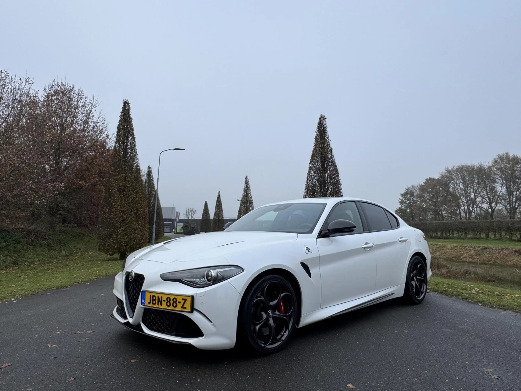 Hoofdafbeelding Alfa Romeo Giulia