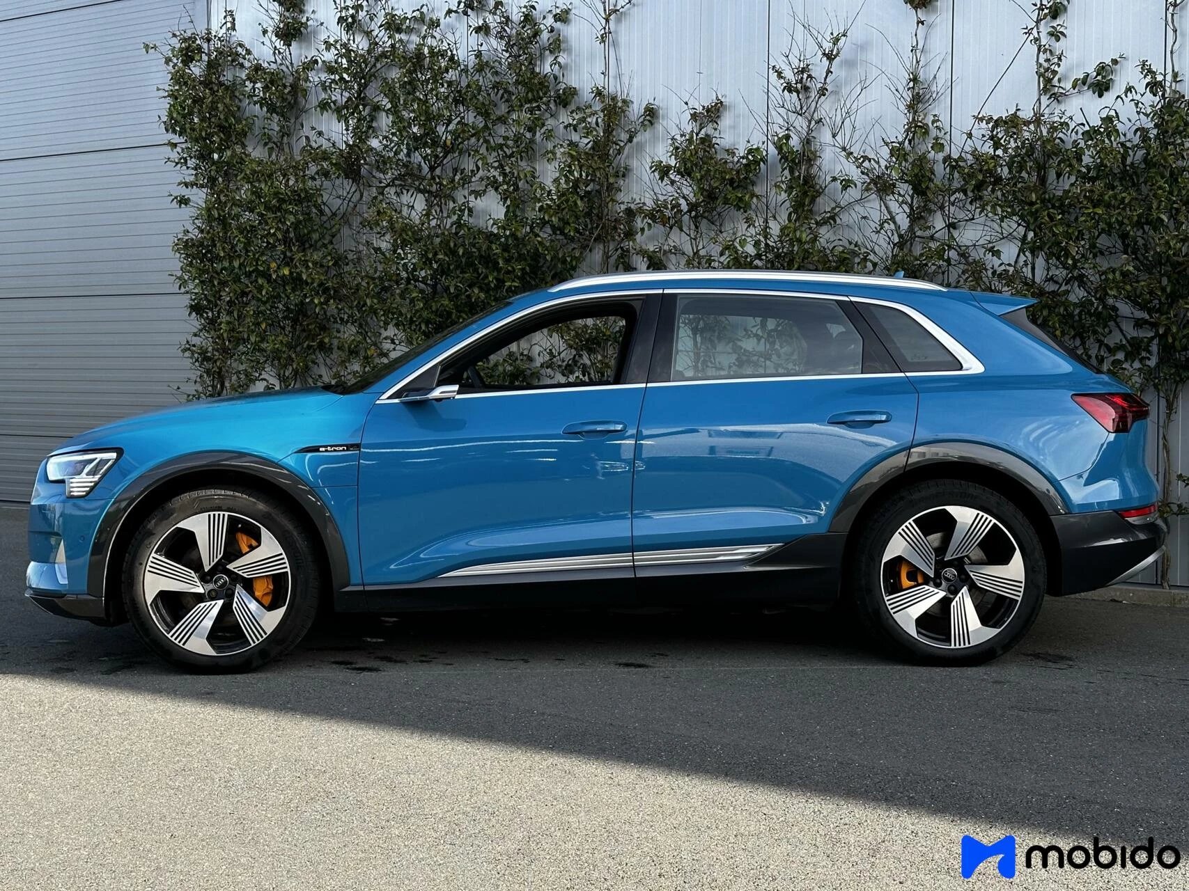 Hoofdafbeelding Audi e-tron