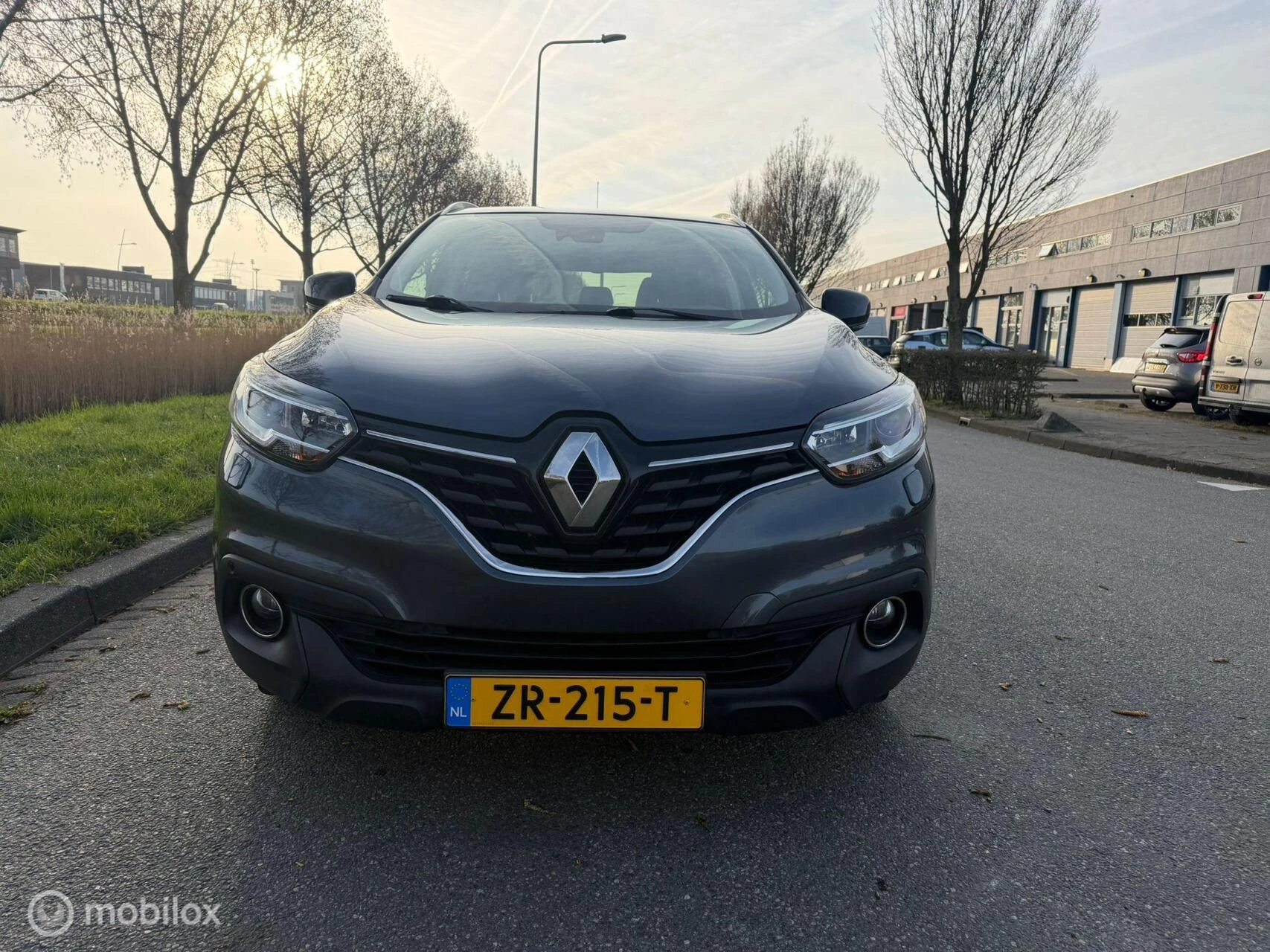 Hoofdafbeelding Renault Kadjar
