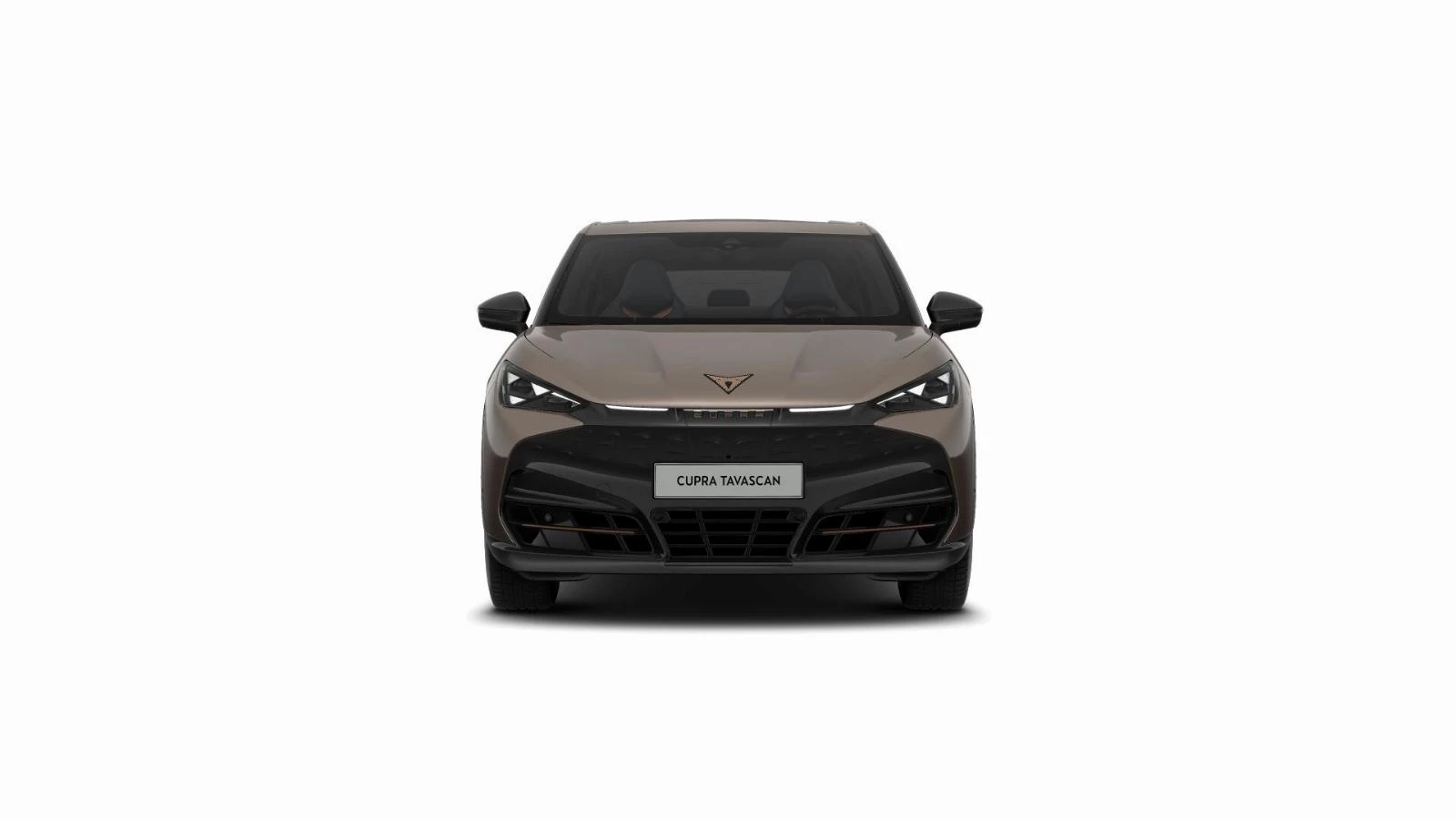 Hoofdafbeelding CUPRA Tavascan