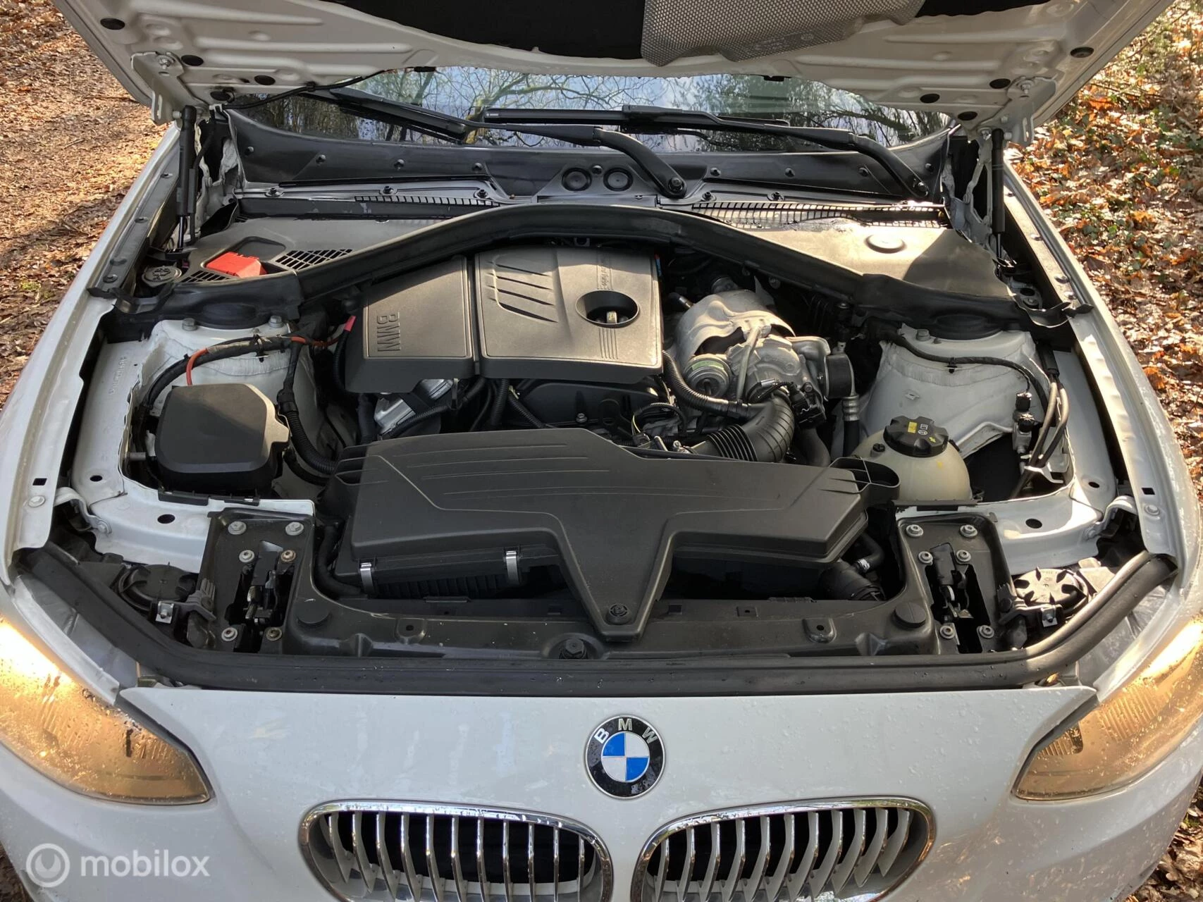 Hoofdafbeelding BMW 1 Serie