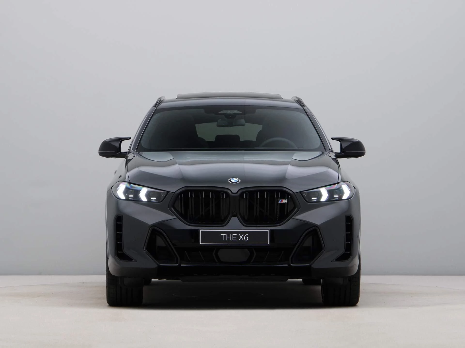 Hoofdafbeelding BMW X6