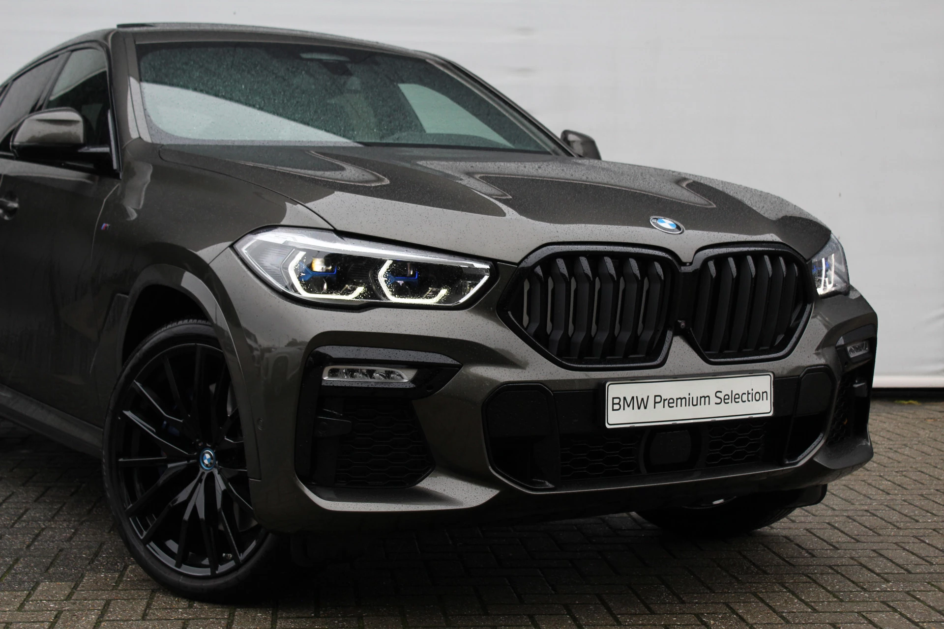 Hoofdafbeelding BMW X6