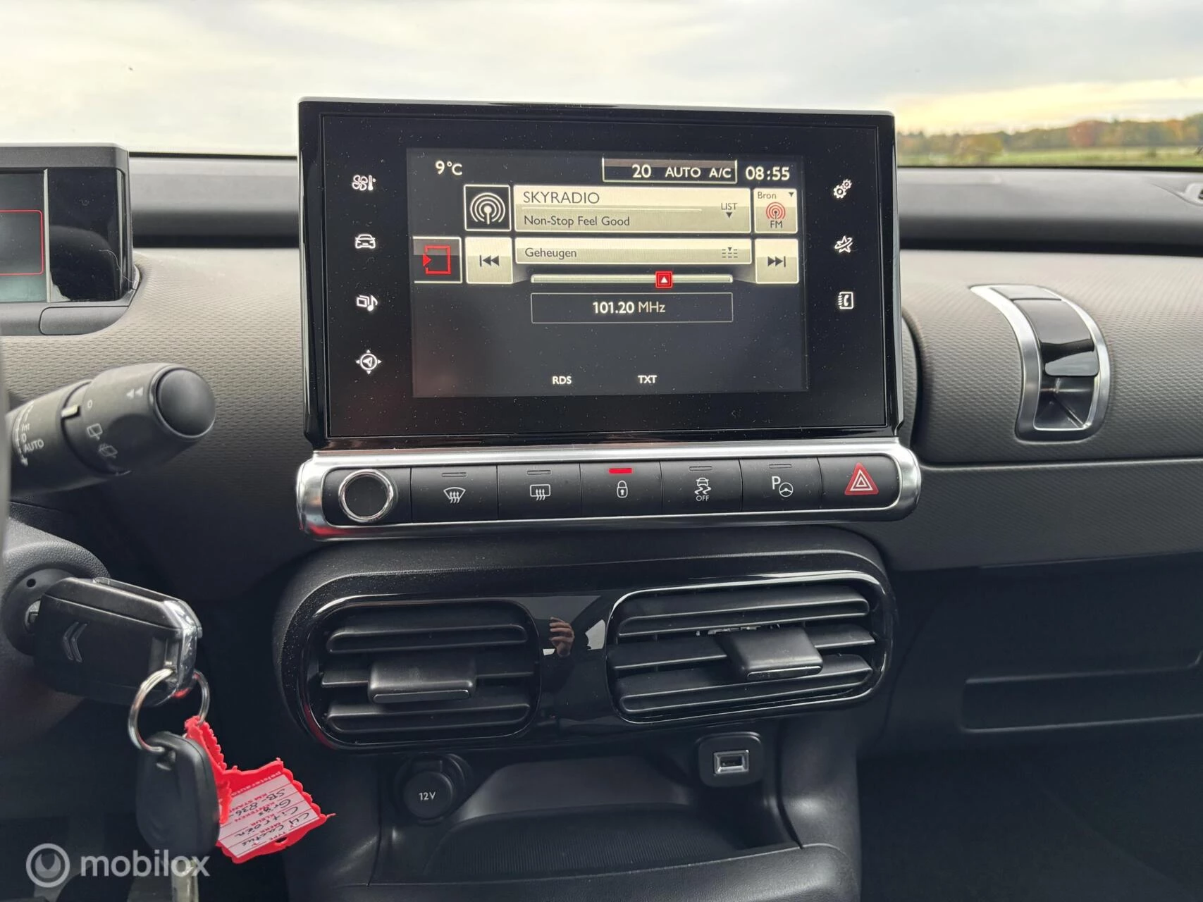 Hoofdafbeelding Citroën C4 Cactus