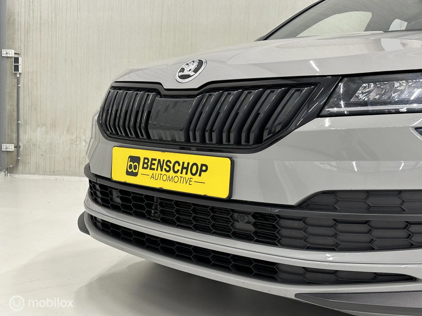 Hoofdafbeelding Škoda Karoq