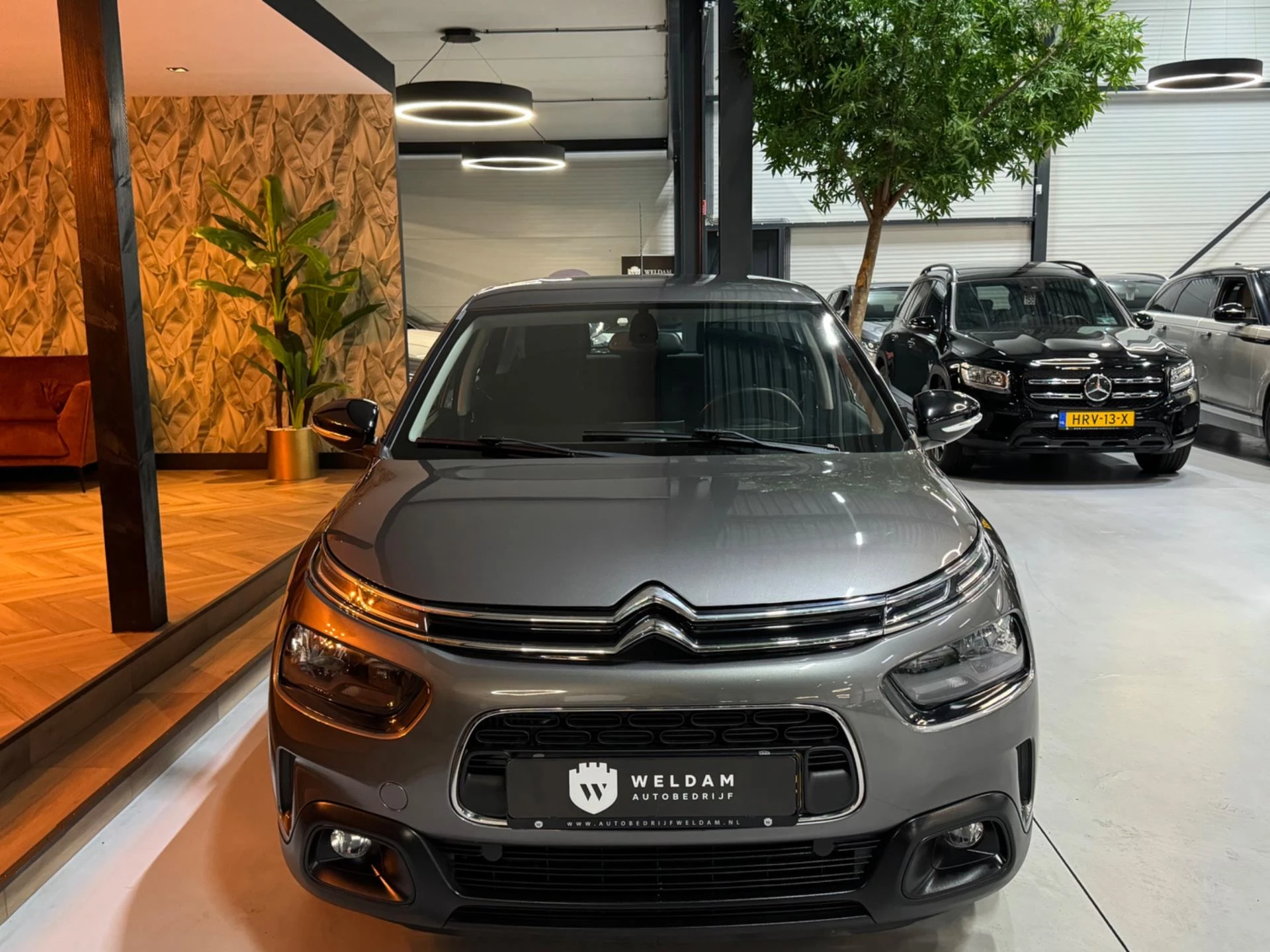 Hoofdafbeelding Citroën C4 Cactus