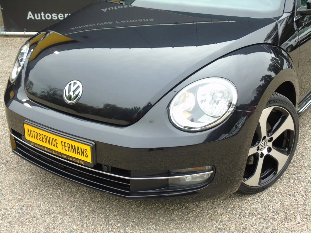 Hoofdafbeelding Volkswagen Beetle