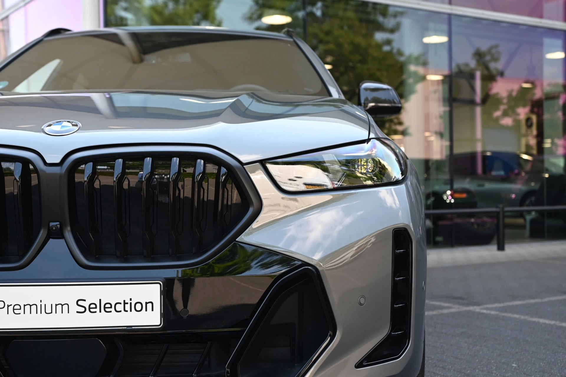 Hoofdafbeelding BMW X6
