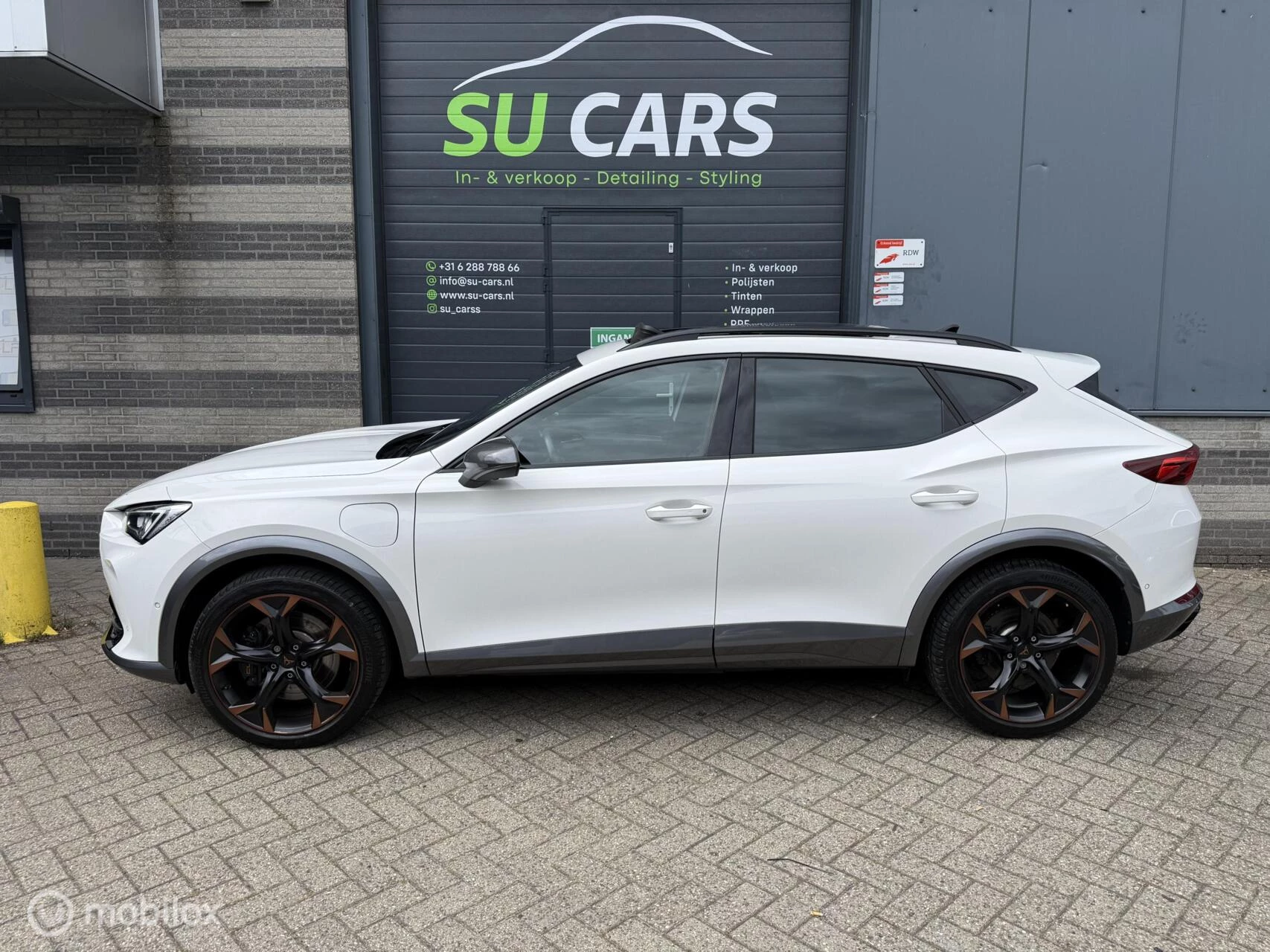 Hoofdafbeelding CUPRA Formentor