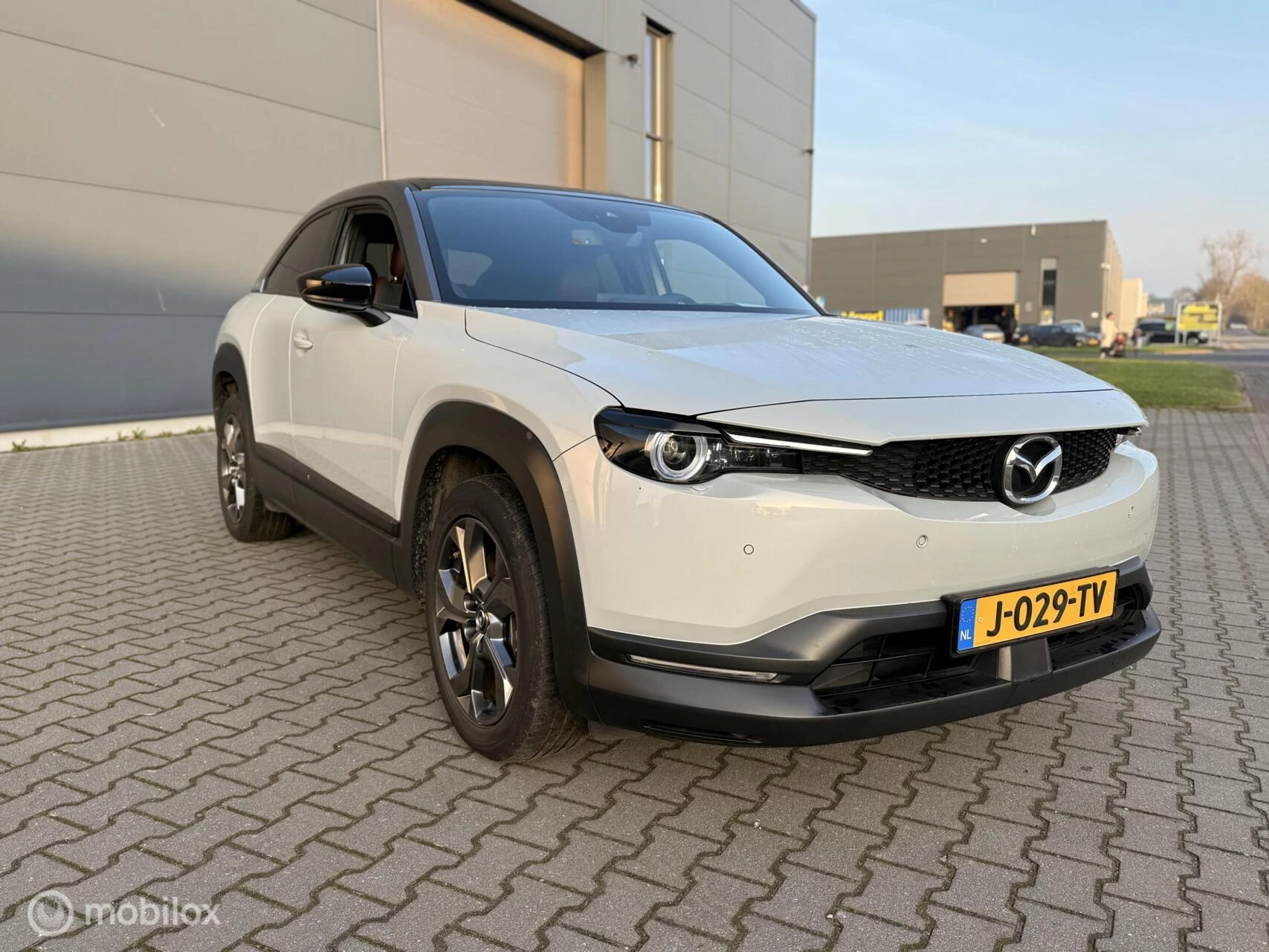 Hoofdafbeelding Mazda MX-30