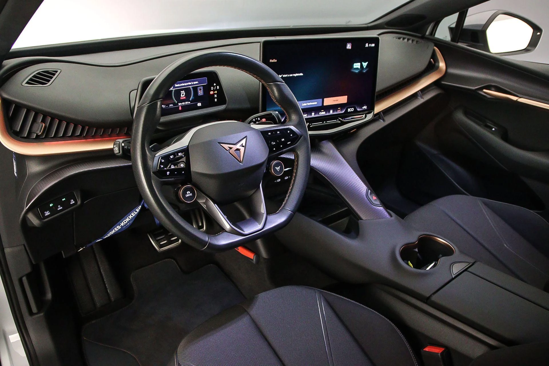 Hoofdafbeelding CUPRA Tavascan