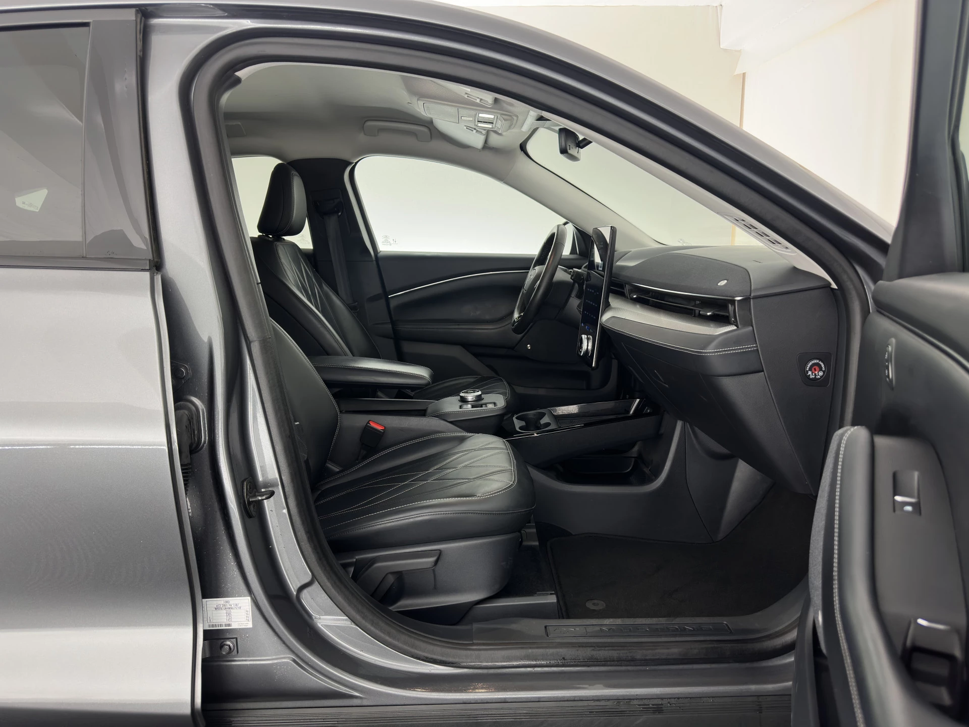 Hoofdafbeelding Ford Mustang Mach-E