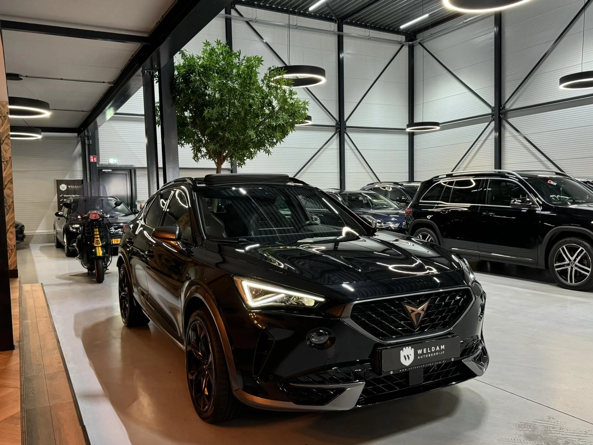 Hoofdafbeelding CUPRA Formentor